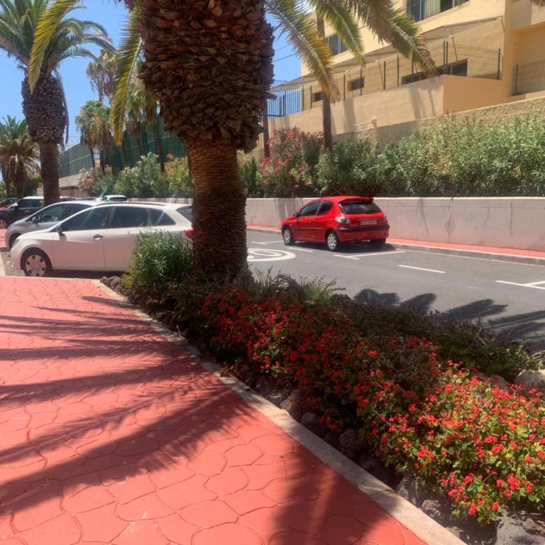 Estudio Miraverde, Adeje - Apartamento de 1 dormitorio - 39