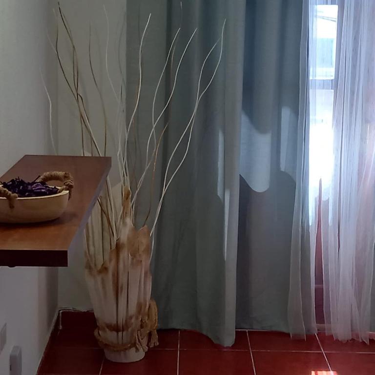 CASA RAMOS II - Apartamento de 1 dormitorio - 6