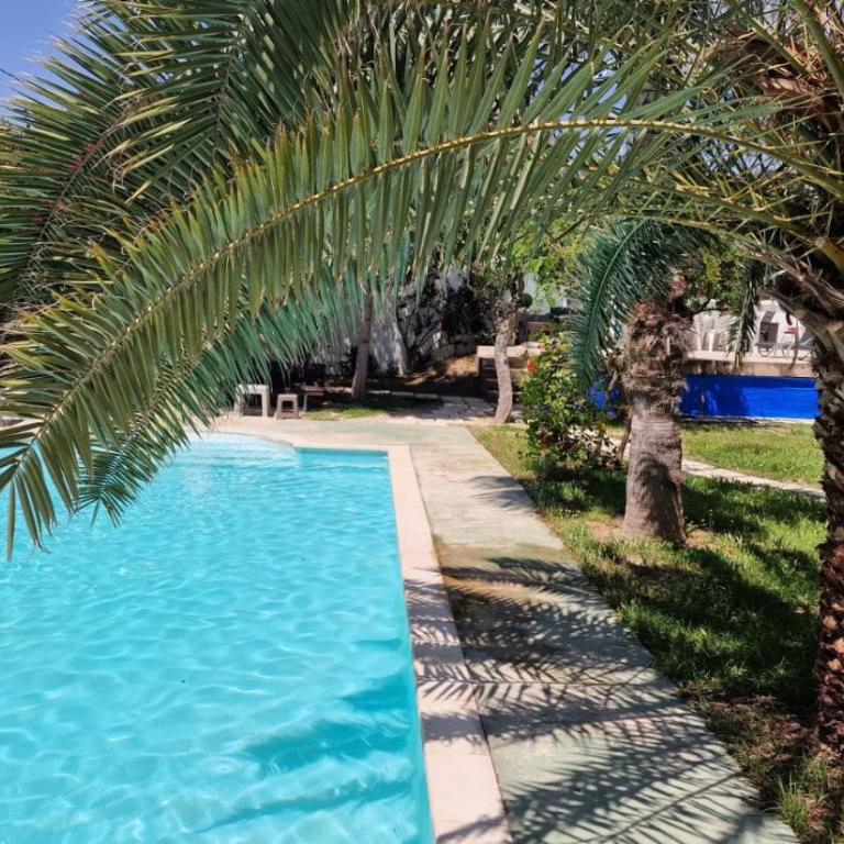 House with exclusive pool and garden 7 min walk from the beach and the center - Casa - 1
