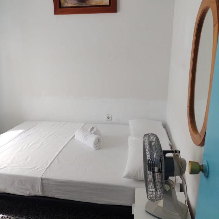 House with exclusive pool and garden 7 min walk from the beach and the center - Casa - 47