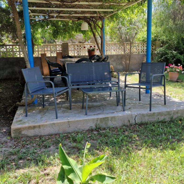 House with exclusive pool and garden 7 min walk from the beach and the center - Casa - 24