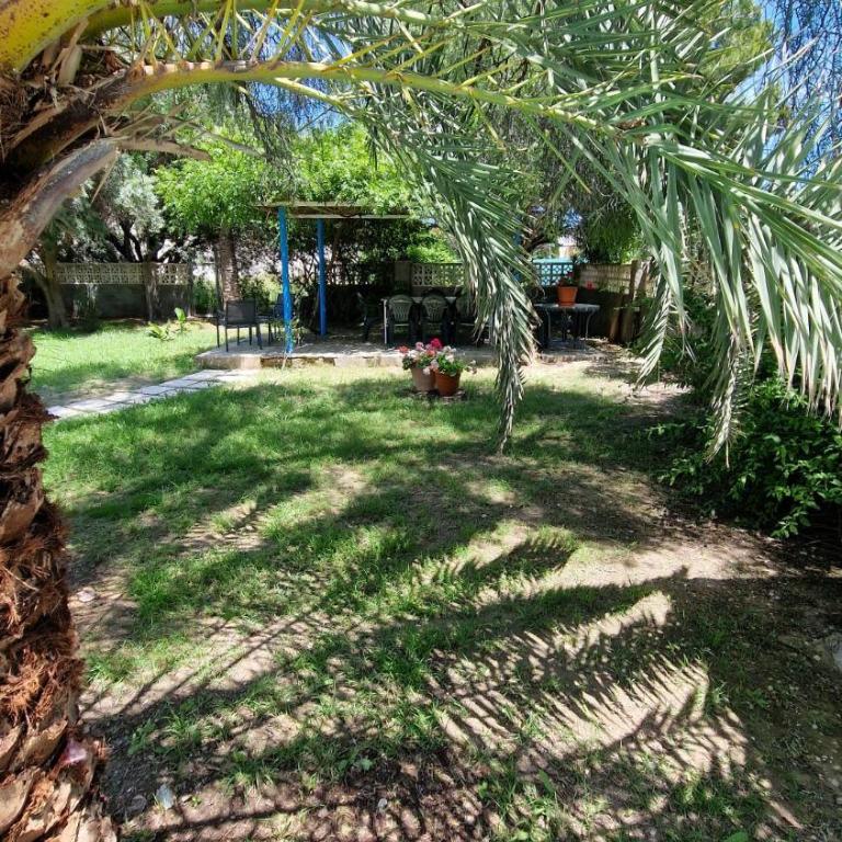 House with exclusive pool and garden 7 min walk from the beach and the center - Casa - 21