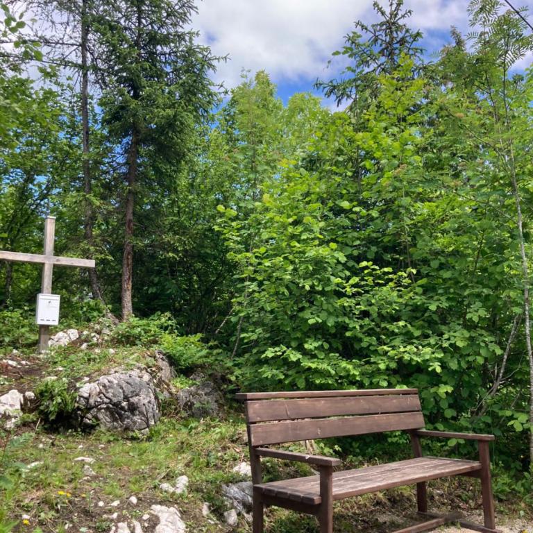 Das Schutzhaus-Bed and Breakfast-Dein Basislager im Salzkammergut - Economy Doppelzimmer - 15
