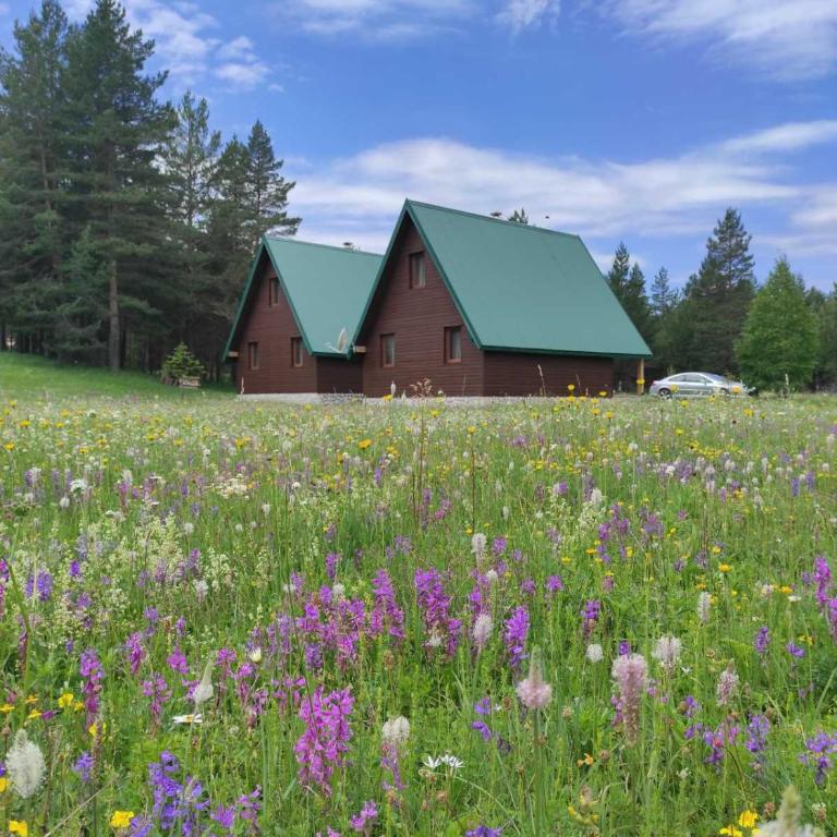 North Star Žabljak - Two-Bedroom House - 24