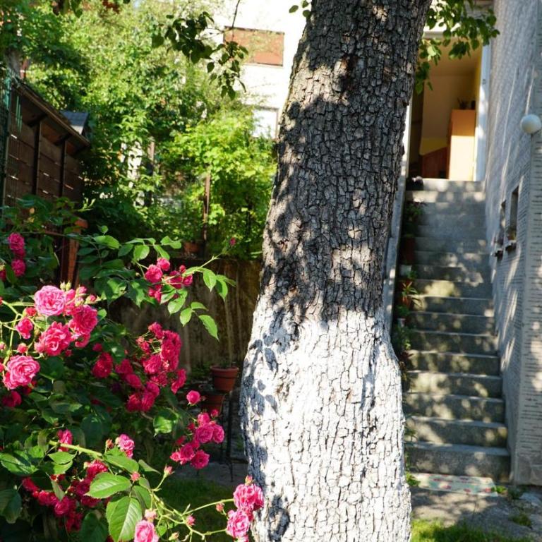 Hedgehog's Home - Ježeva kućica Free Parking - One-Bedroom Apartment - 28