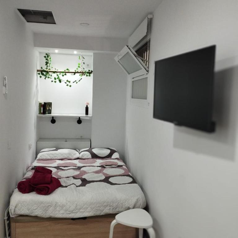 LOFT LA CASITA - Estudio - 14