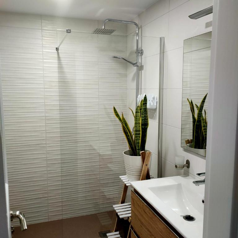 Flor De Cactus - Apartamento de 1 dormitorio - 34