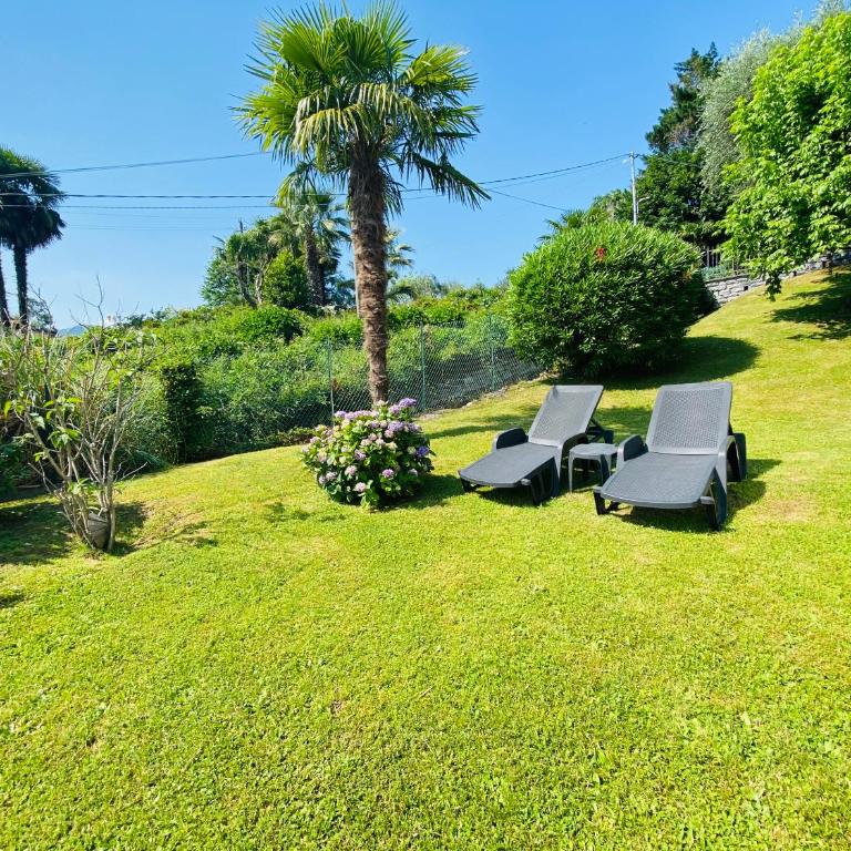 Appartamento Giardino - Appartamento - 4