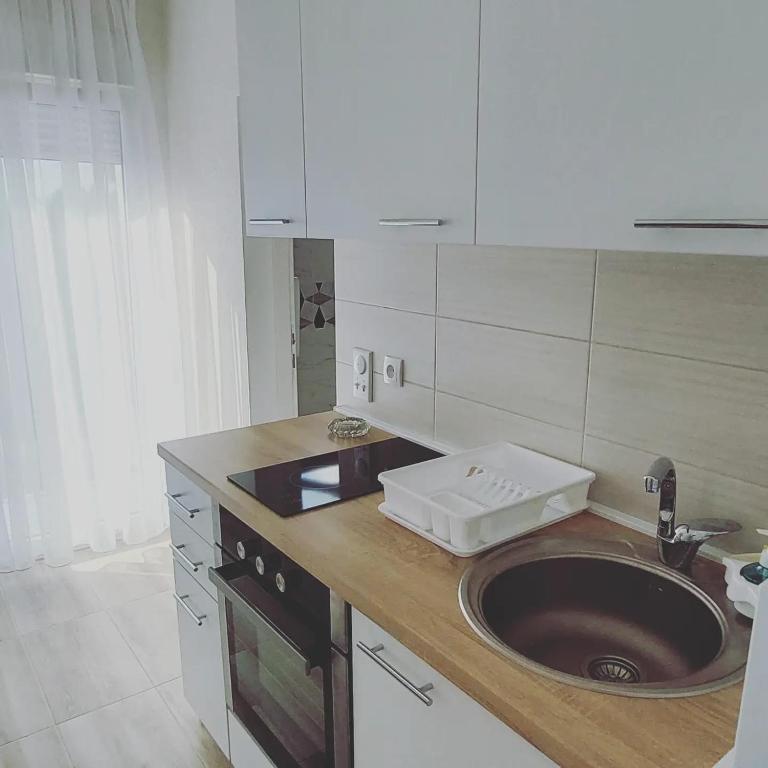 Vila Srbija - One-Bedroom Apartment - 2