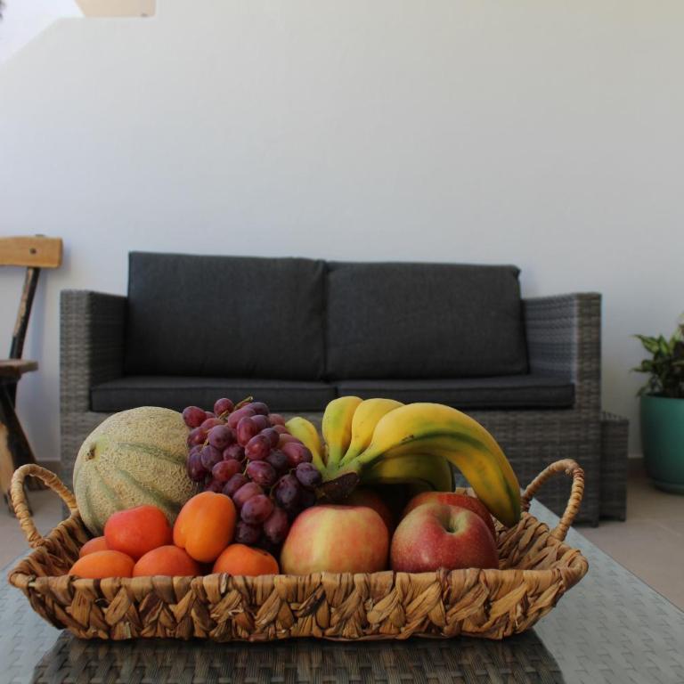 Flor De Cactus - Apartamento de 1 dormitorio - 15