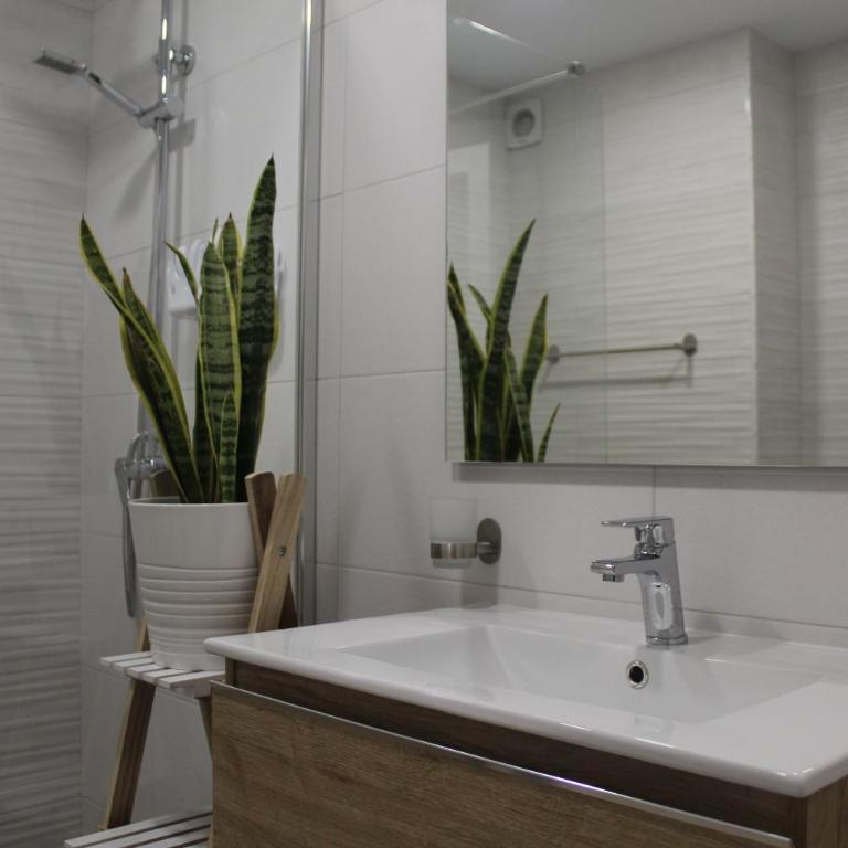 Flor De Cactus - Apartamento de 1 dormitorio - 35