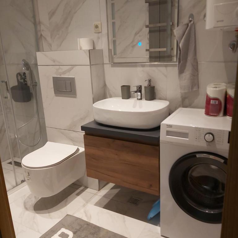 Vila Pekovic Blue-Apartman PAMA - Apartman sa 1 Spavaćom Sobom - 32