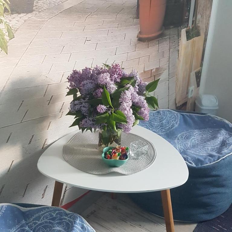 Sarajevo, Stari Grad, Apartment - Two-Bedroom Apartment - 12