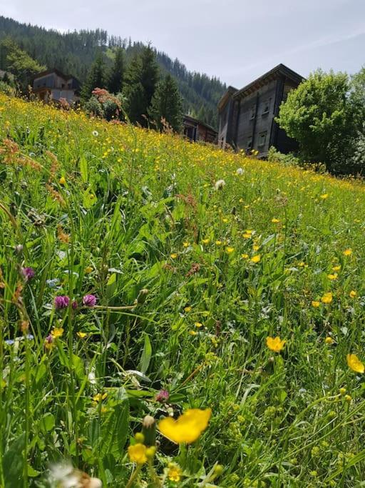 Chalet Chocolat - Chalet - 48