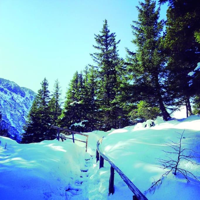 Chalet Chocolat - Chalet - 34