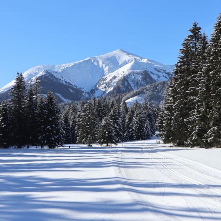 Chalet Chocolat - Chalet - 25