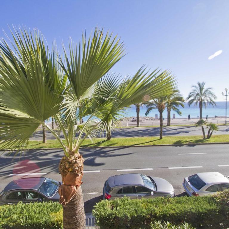 Sea Front Cedres Promenade - Appartement - Vue sur Mer - 13