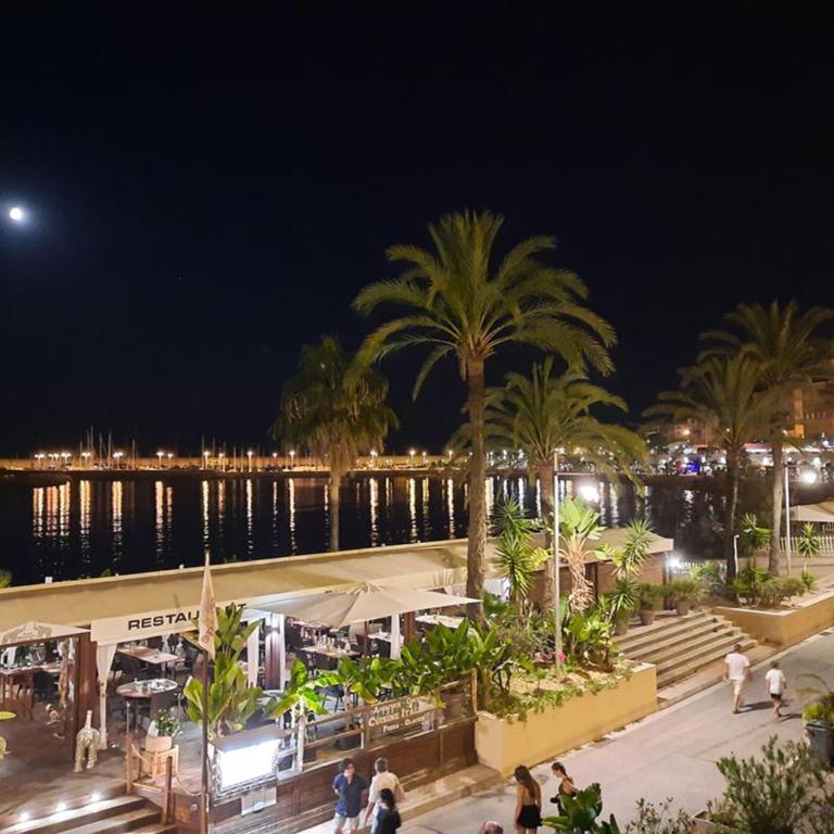Apartment les Sablettes panoramic sea view - Appartement - Vue sur Mer - 32
