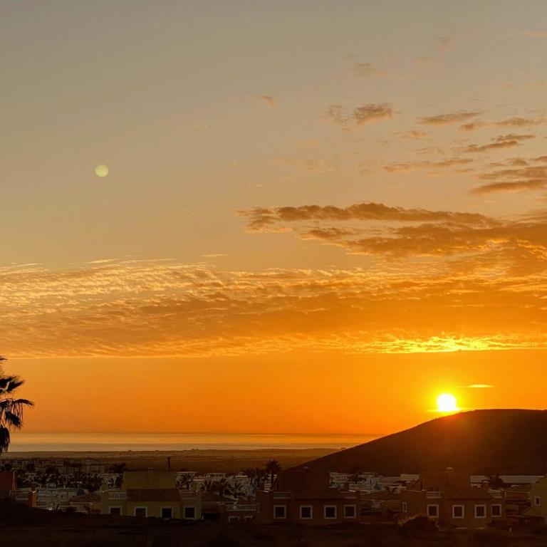 Semicorchea Corralejo iRent Fuerteventura - One-Bedroom Apartment - 22