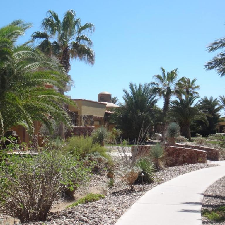Bella Sirena 304-A - Elegant Oceanview Condo on Sandy Beach - Apartamento de 2 dormitorios - 32
