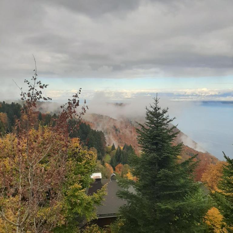 Châlet vue lac Léman à 1000 mètres d altitude - Chalet 3 Chambres - 17