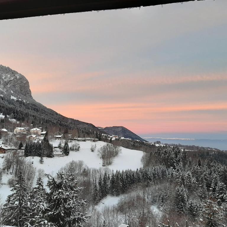 Châlet vue lac Léman à 1000 mètres d altitude - Chalet 3 Chambres - 27