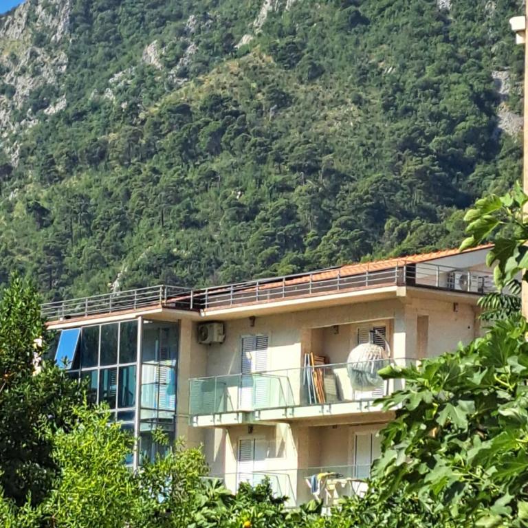 Apartments with sea view in Prcanj - Two-Bedroom Apartment - 1
