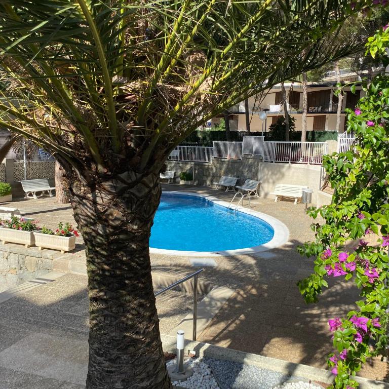 Sunset chill out - Apartamento de 1 dormitorio - 19