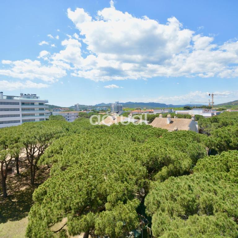 Fanals 4M - Apartamento de 2 dormitorios - 34