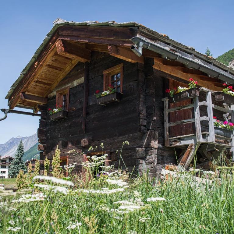Ferienhaus Felicé - Apartamento de 1 dormitorio - 3
