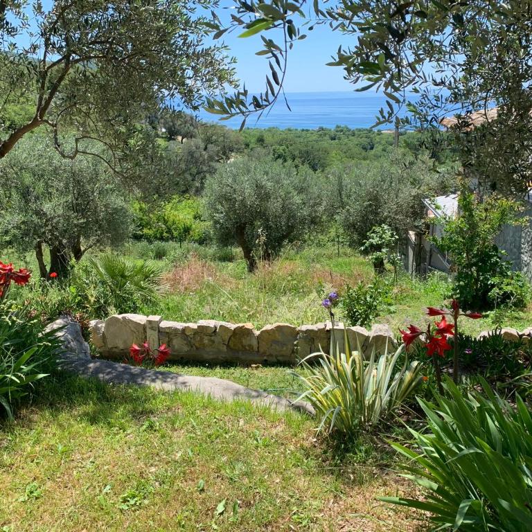 Apartments Mirian - One-Bedroom House - 15