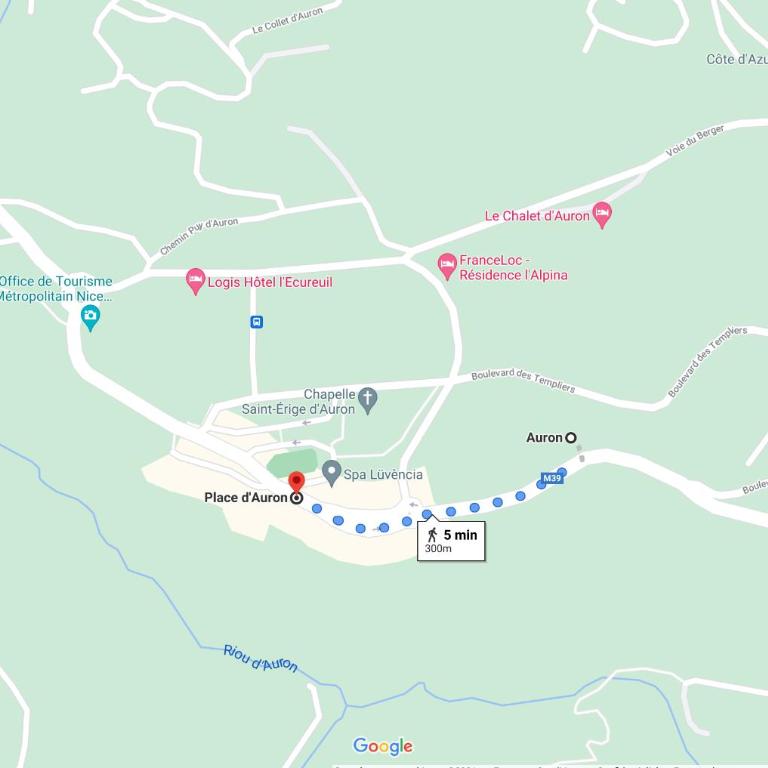 Auron, appart cosy au calme proche centre & pistes - Appartement 1 Chambre - 19