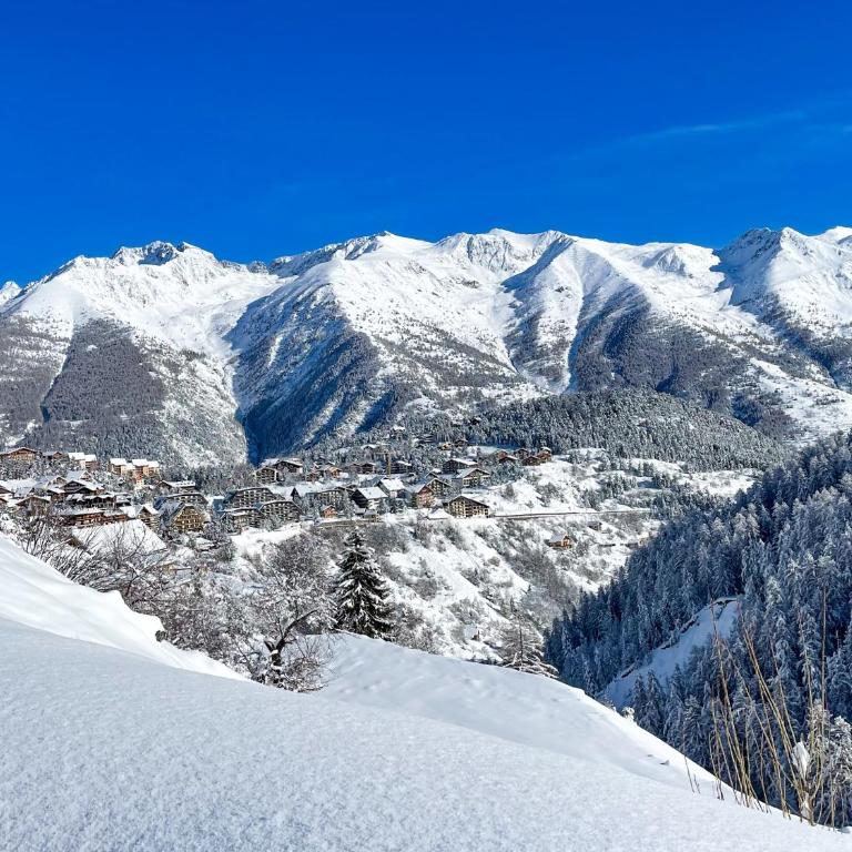 Auron, appart cosy au calme proche centre & pistes - Appartement 1 Chambre - 20