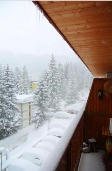 Appartamento Elena - M. di Campiglio - Appartamento con 1 Camera da Letto - 12