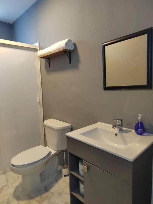 Apartamento 2 recamaras en el corazón de Cozumel - Apartamento de 2 dormitorios - 11