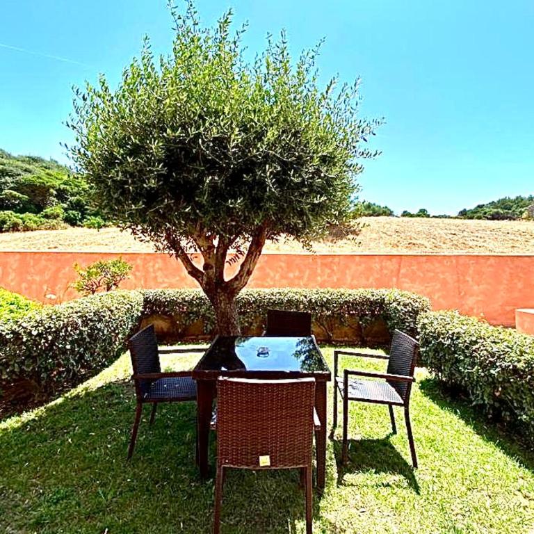 La Casa di Claudio -Santa Teresa di Gallura - Standard Apartment - 17