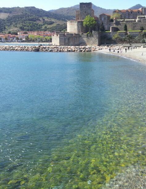 T3 de CHARME a 20 m de la plage centre village - Apartamento - 25