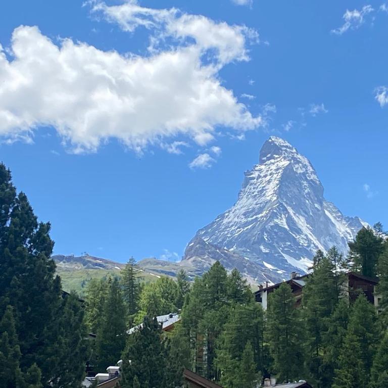 Place for relax - matterhorn view - Apartamento de 2 dormitorios - 23