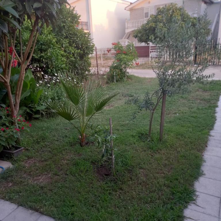 Bungalo Đeković - Vikendica - 3