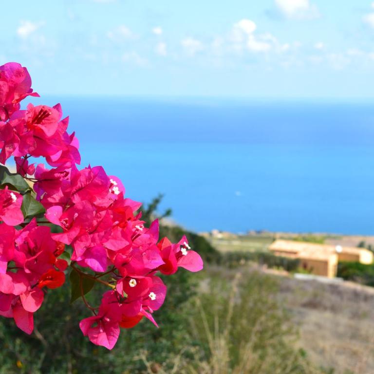 Terrazza Sarmuci di Scopello - Ferienhaus - 12