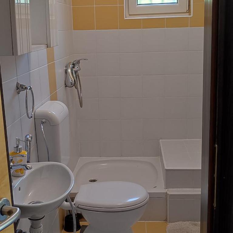 Villa Greenfield - Vila sa Sopstvenim Bazenom - 28