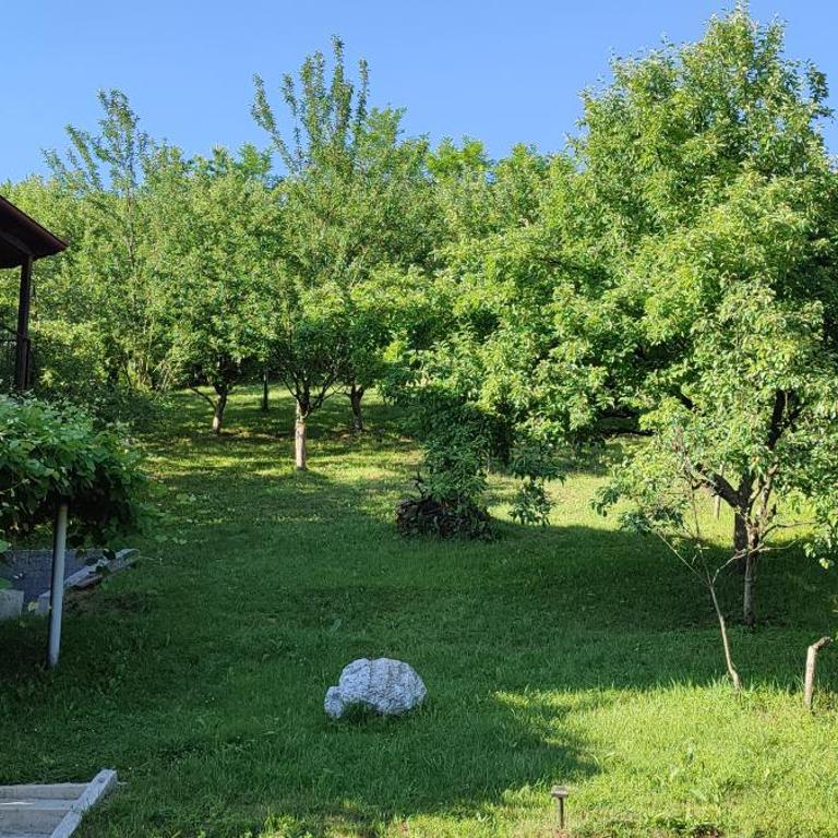 Villa Greenfield - Vila sa Sopstvenim Bazenom - 8