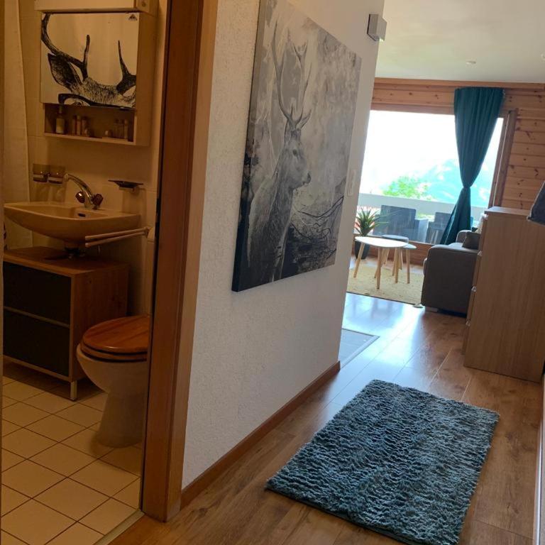 Studio Hauts-de-Nendaz G2 ski in-out - Studio-Apartment - 14
