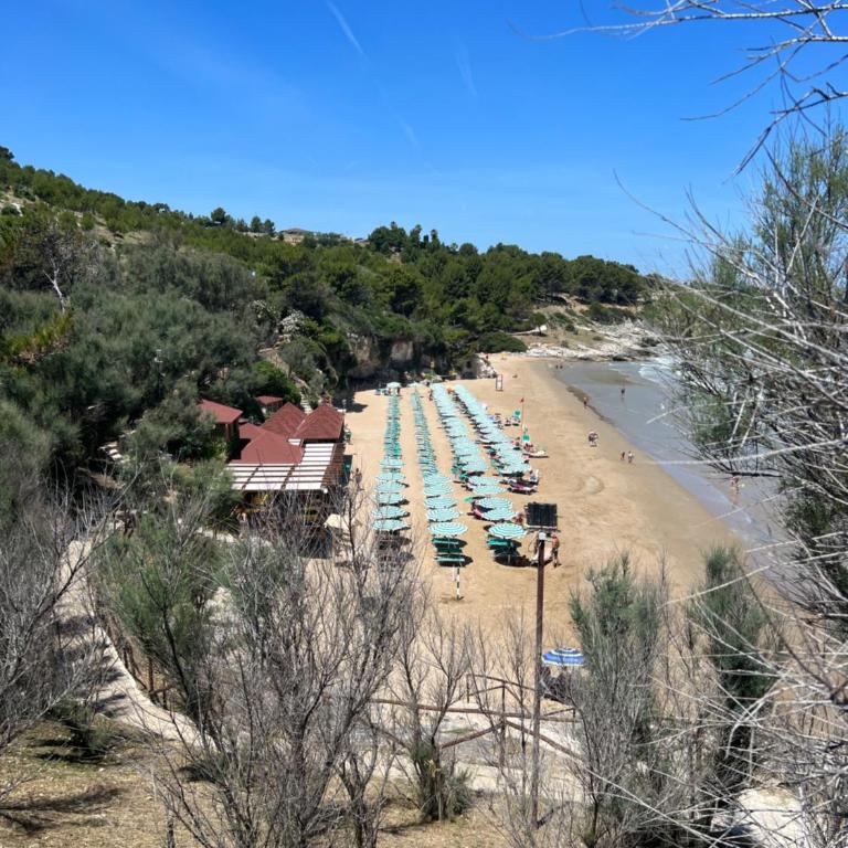 Villa Vittoria - Villa - 77
