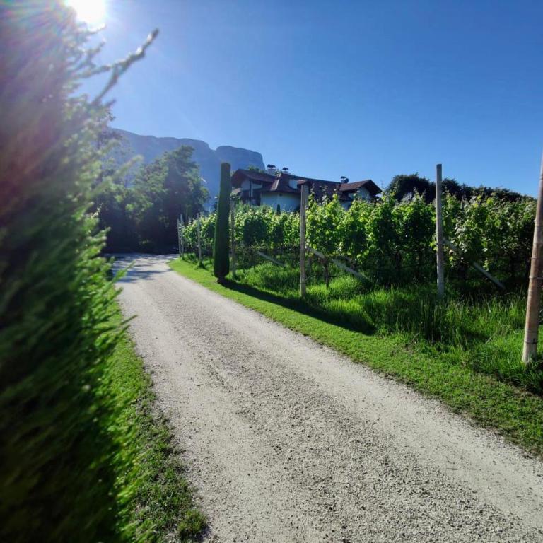 Bühel im Gschleier - Appartamento con Vista Montagna - 4