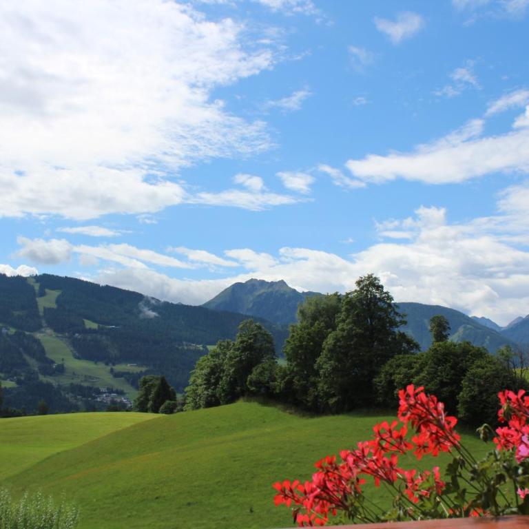 Mountain-View - Apartment mit 2 Schlafzimmern - 9