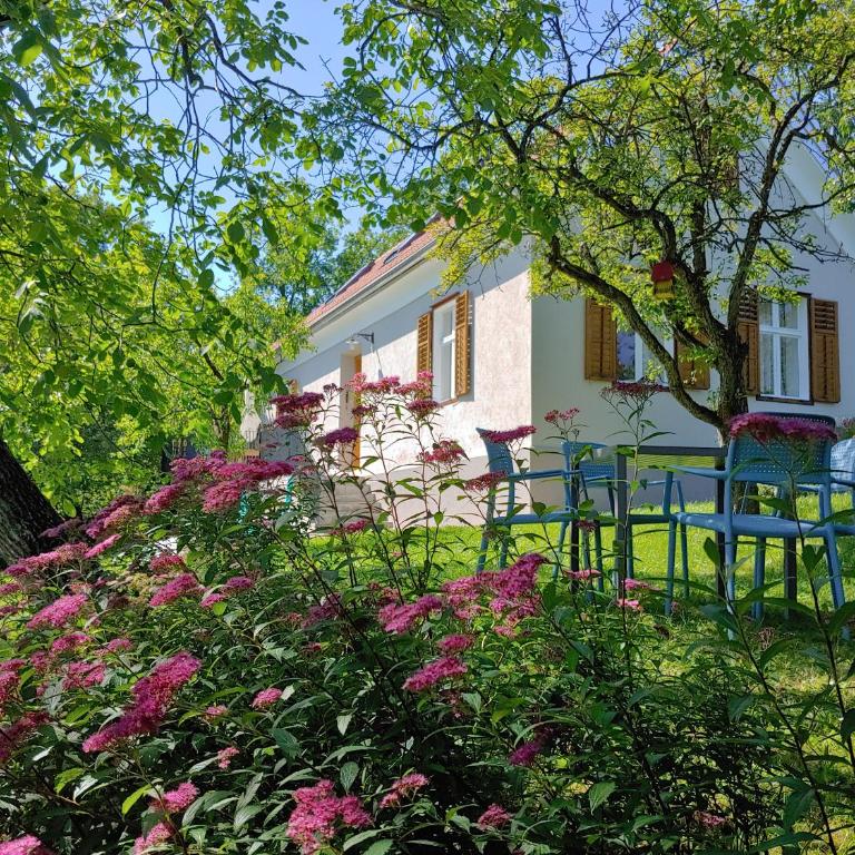 Ferienhaus zur Opernsängerin - Ferienhaus - 26