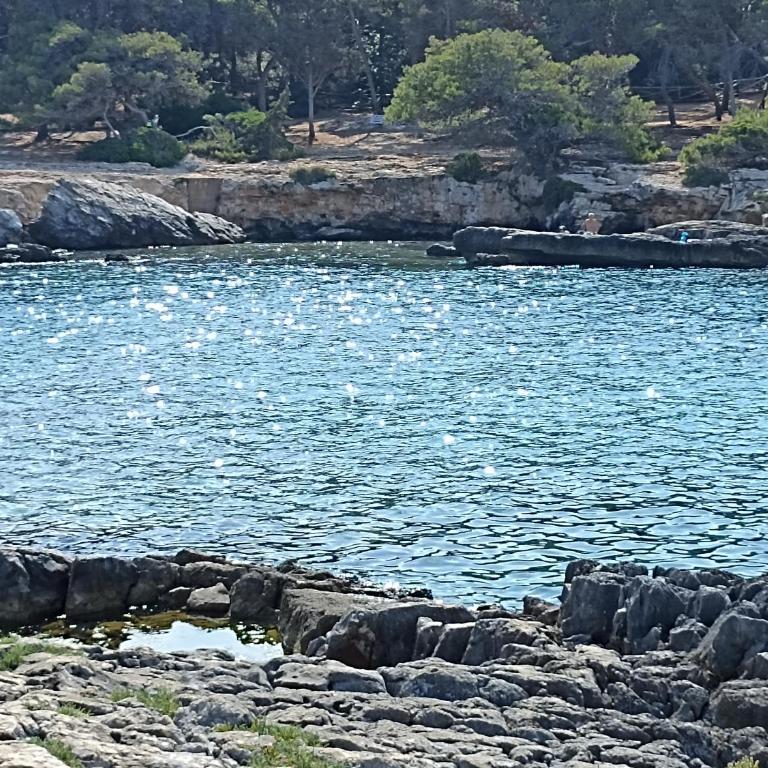 SALENTO MARE E ARTE - Apartment - Ground Floor - 7