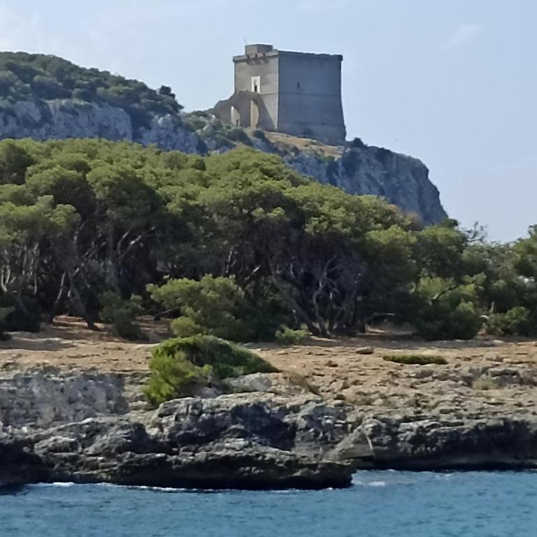 SALENTO MARE E ARTE - Apartment - Ground Floor - 4