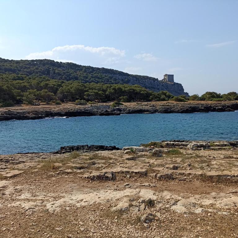 SALENTO MARE E ARTE - Apartment - Ground Floor - 2